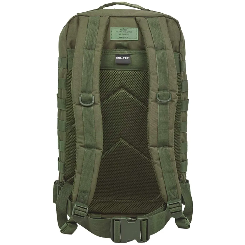 rear-view-mil-tec-molle-assault-pack-36l-olive-green.webp