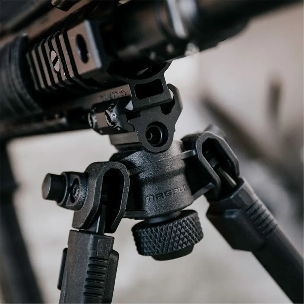 mpl-mag941_06_1.webp