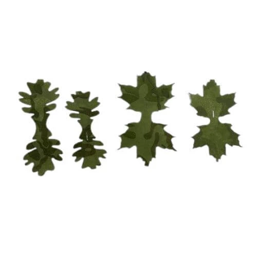 222_1.webp