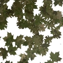 aaa_1.webp