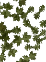 Artificial leaves Green Grass x50 Lapa Gear