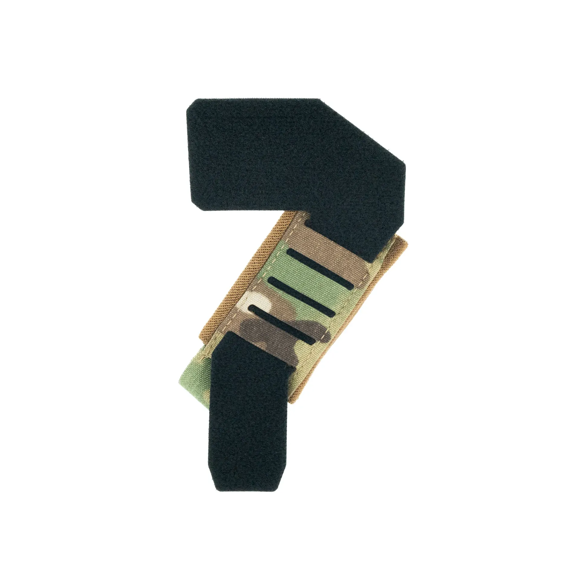 mandible
