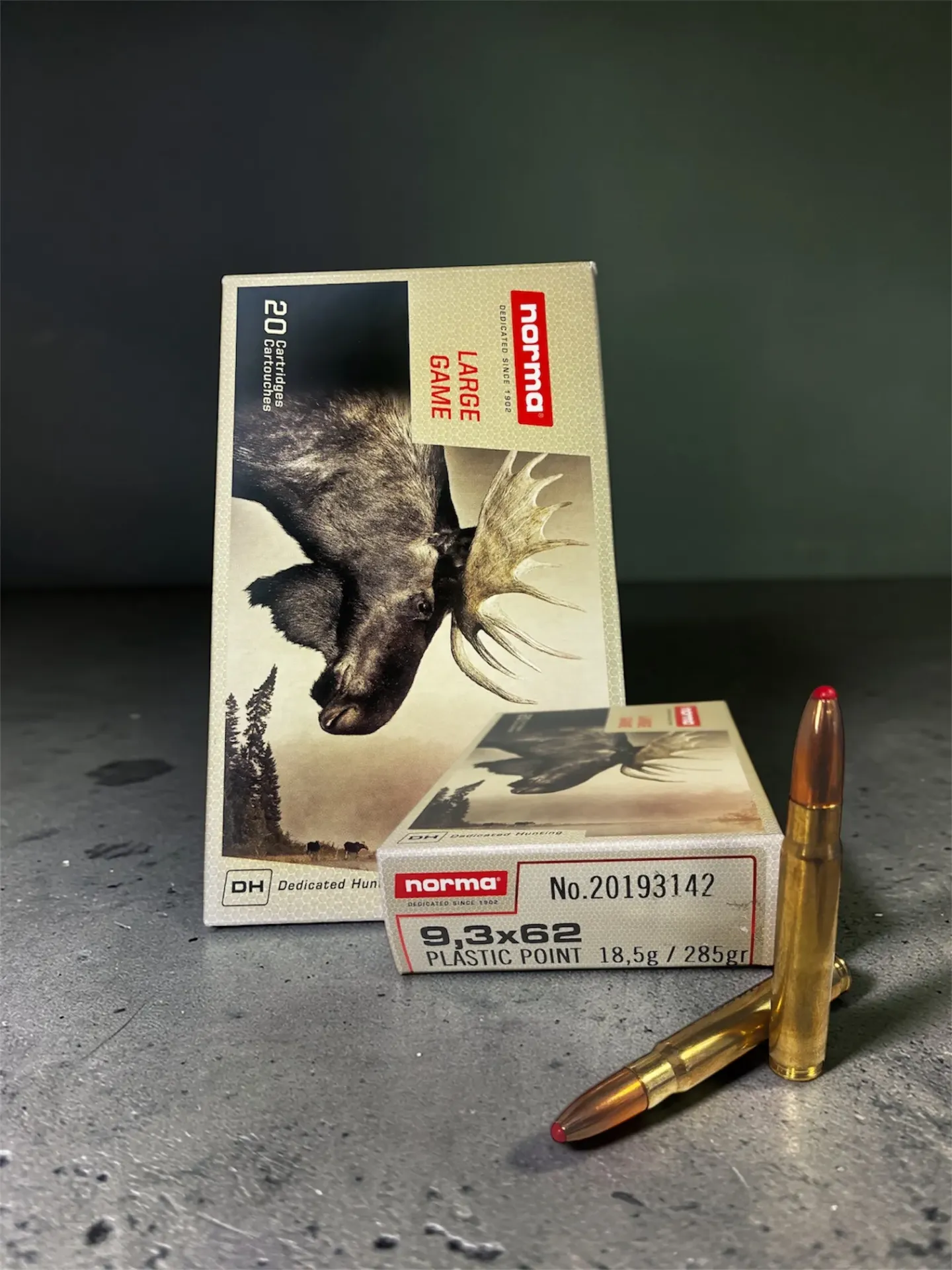 Nor 9.3*62 285grains 18.5g Plastic Point 20 pcs